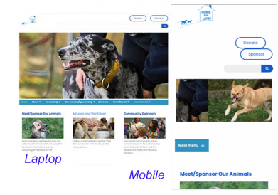 Home for Life layouts